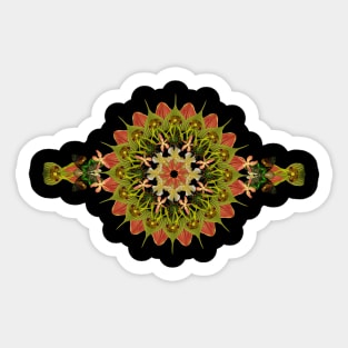 Mandala Magic - Orchid Perfection Sticker